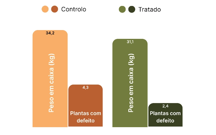 Resultado da amostragem de plantas em três repetições por parcela.