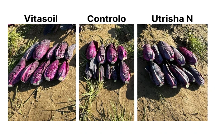 Dados visuais entre parcelas