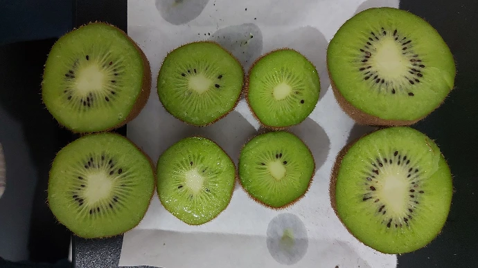 Exemplos de frutos de kiwi com diferentes níveis de polinização, evidenciados pelo número de sementes presentes.