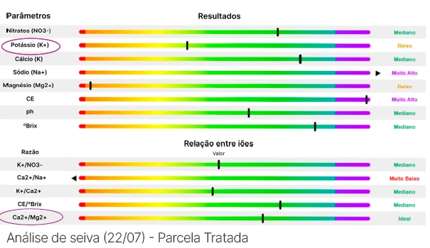 Análise de seiva 􀕄22/07􀕅 􀕞 Parcela Tratada