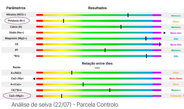 Análise de seiva 􀕄22/07􀕅 􀕞 Parcela Controlo