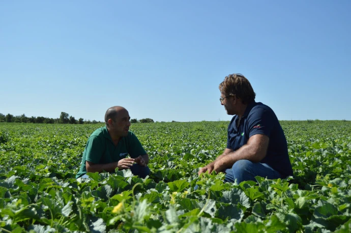 acompanhamento agronómico