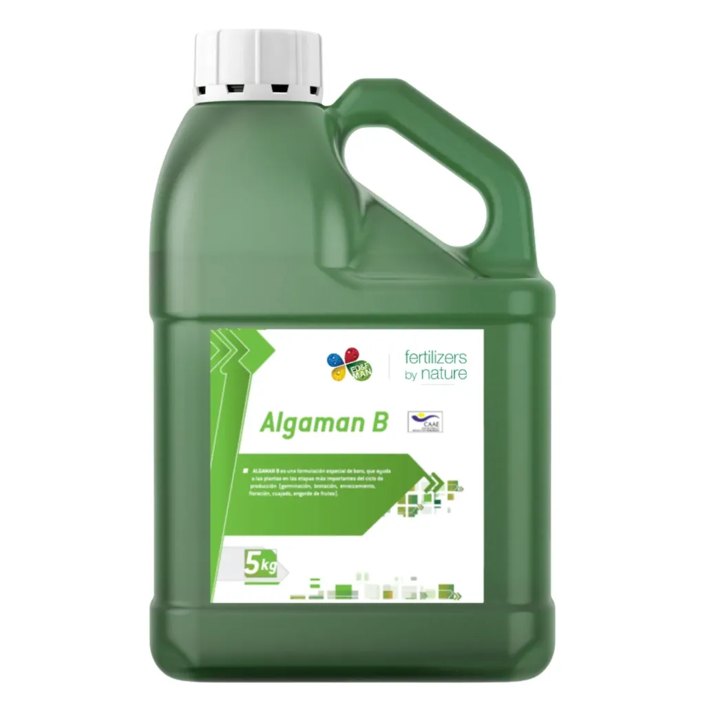 ALGAMAN B