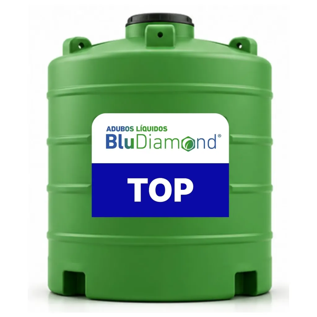 BLUDIAMOND TOP