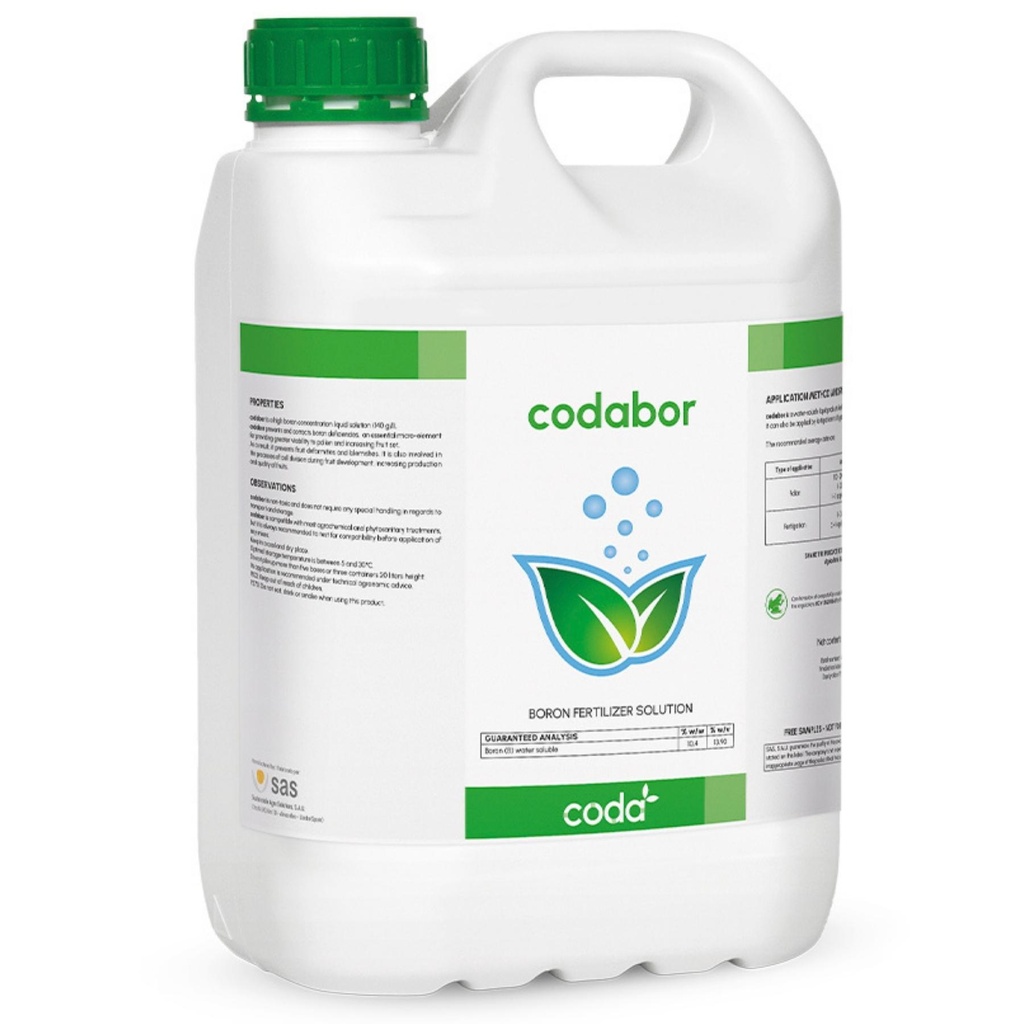 CODABOR