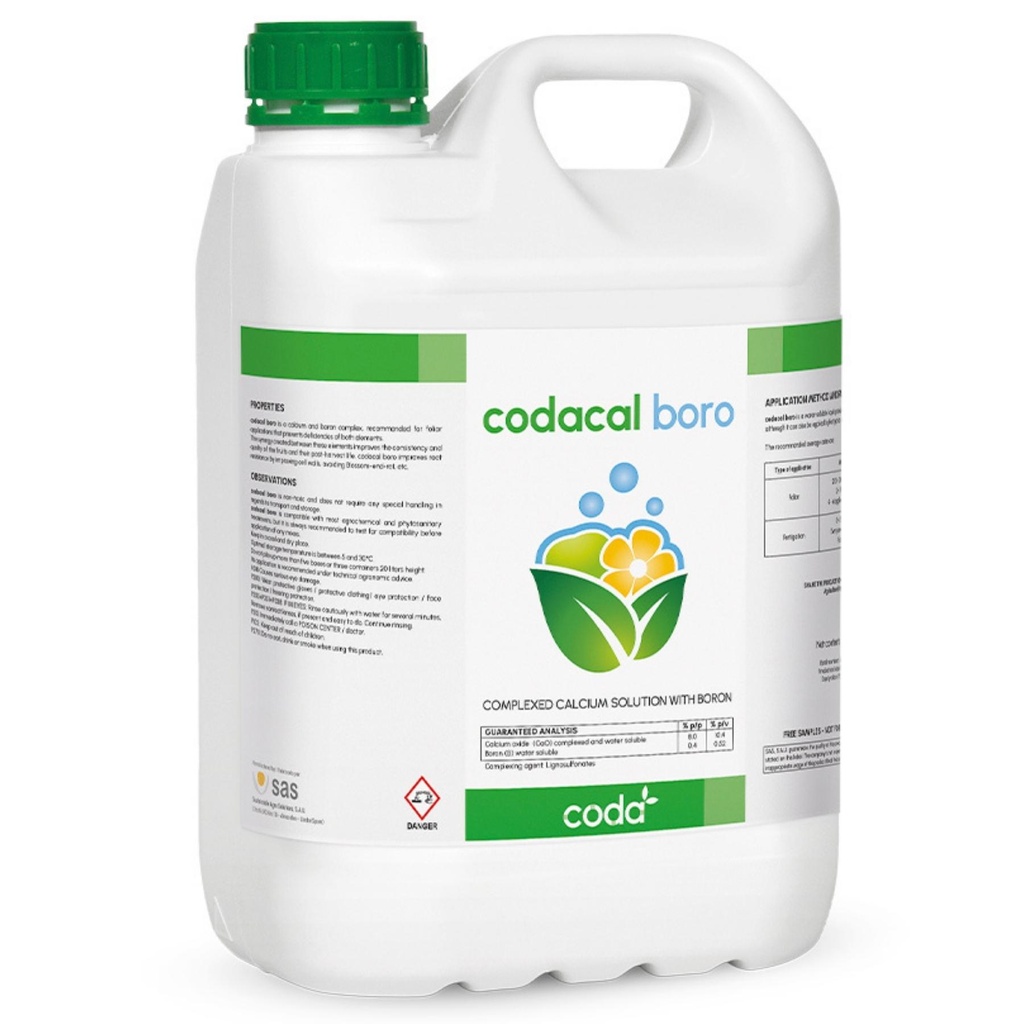 CODACAL BORO