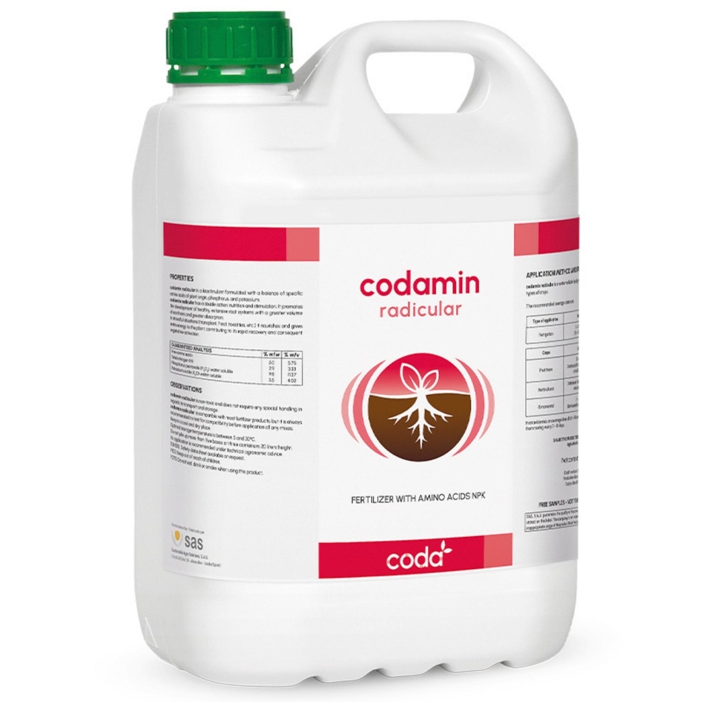 CODAMIN RADICULAR