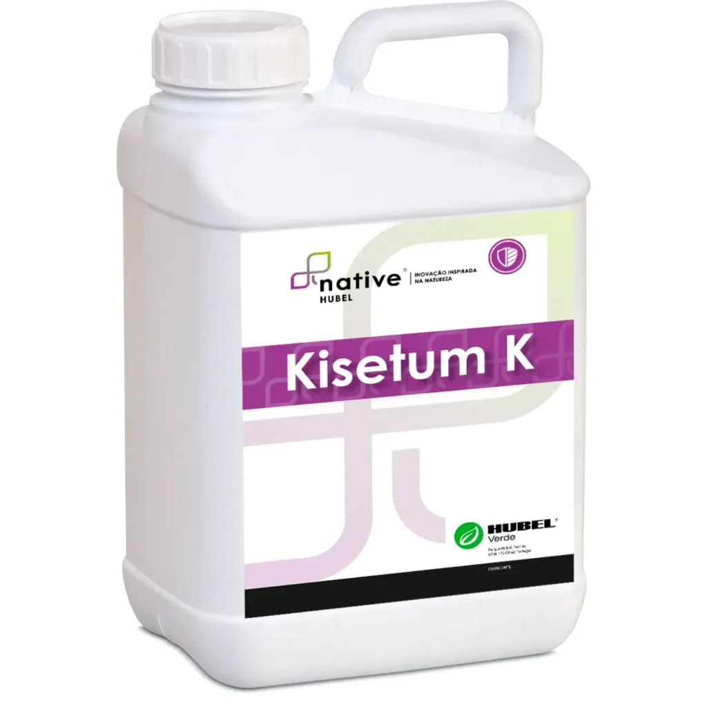 KISETUM K