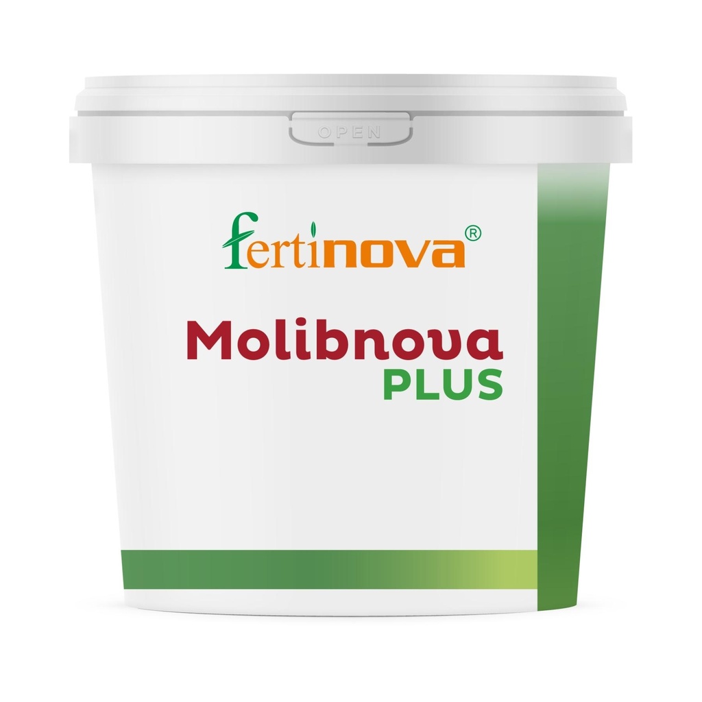 MOLIBNOVA PLUS