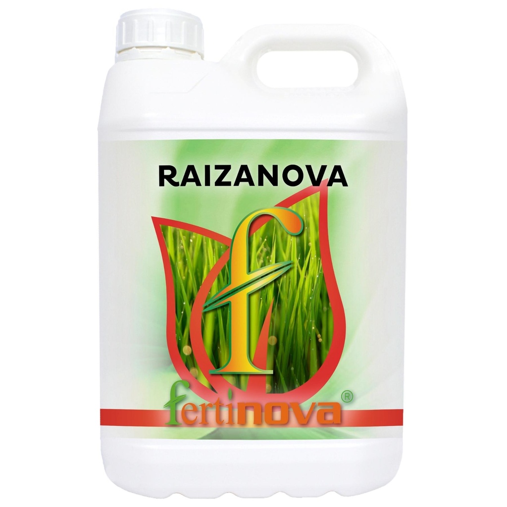 RAIZANOVA