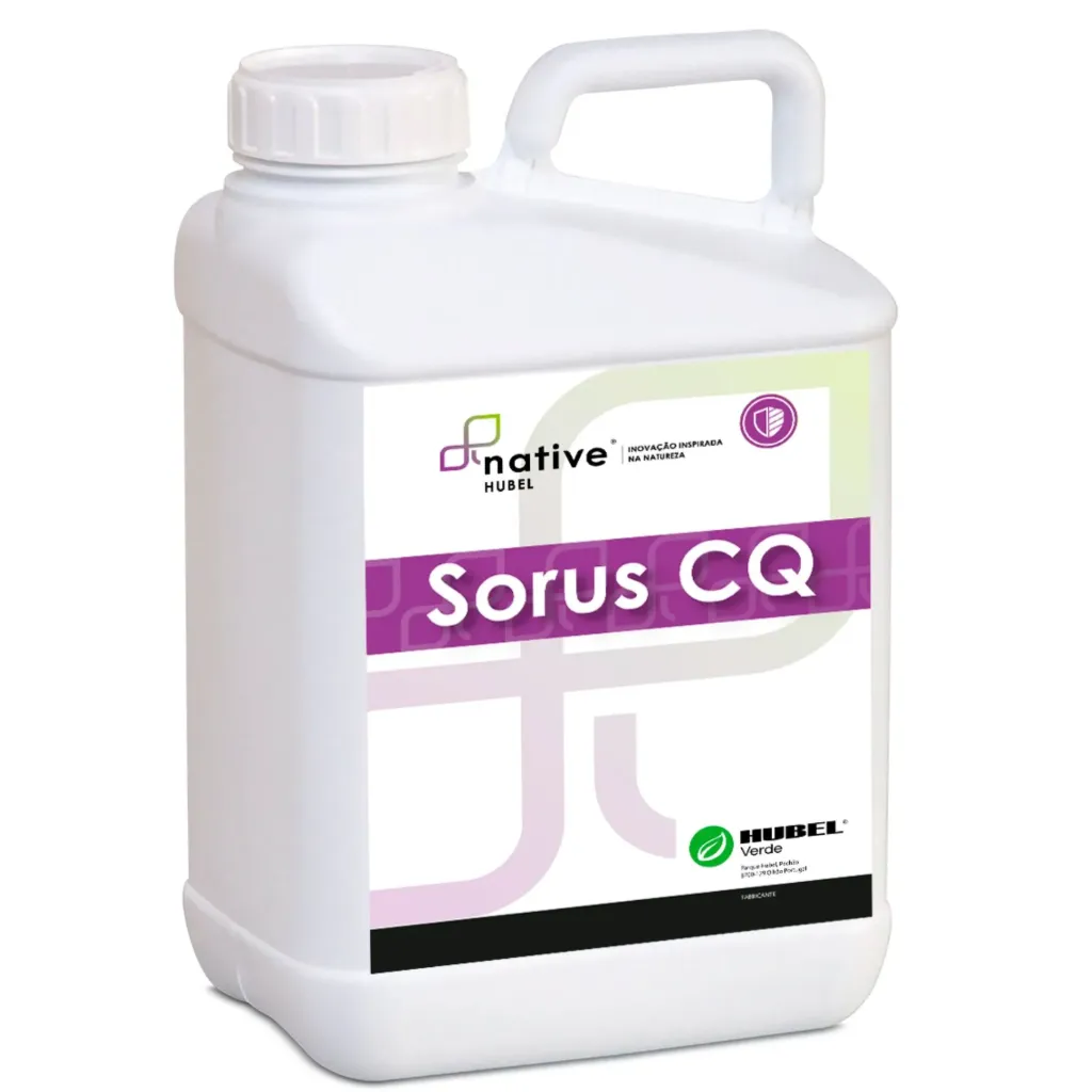 SORUS CQ