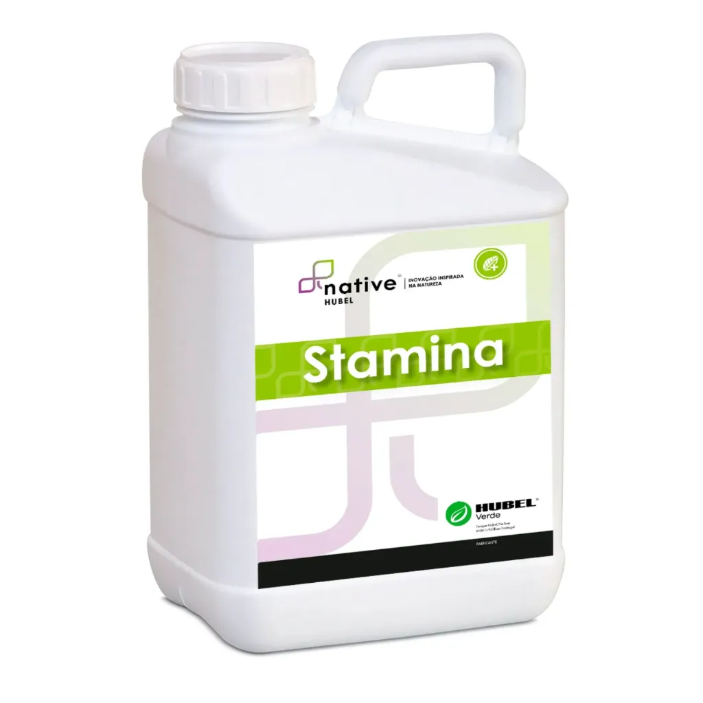 STAMINA