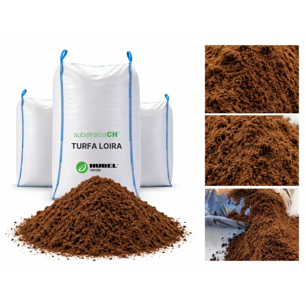 Turfa Loira