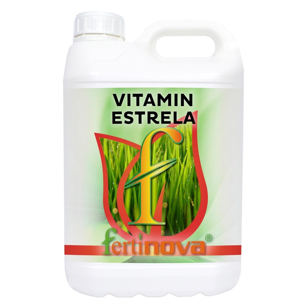VITAMIN ESTRELA