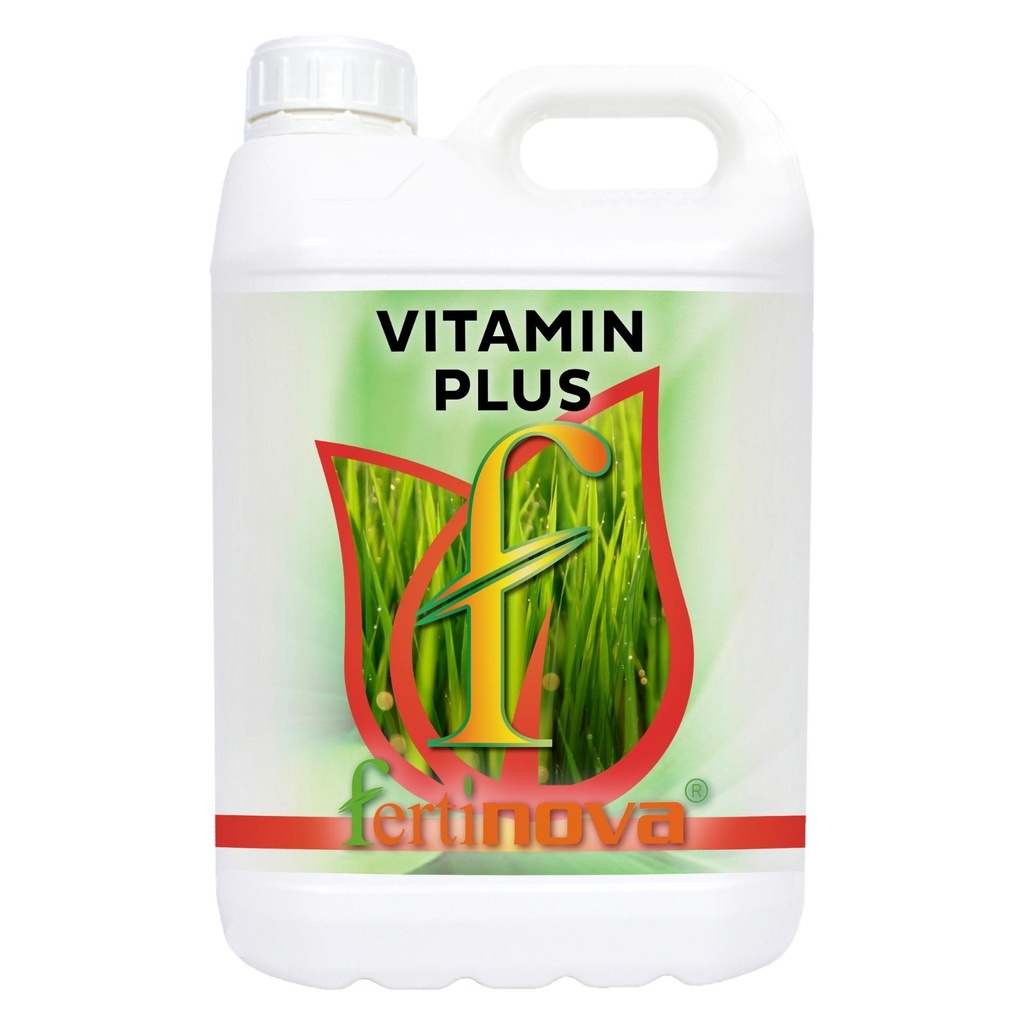 VITAMIN PLUS