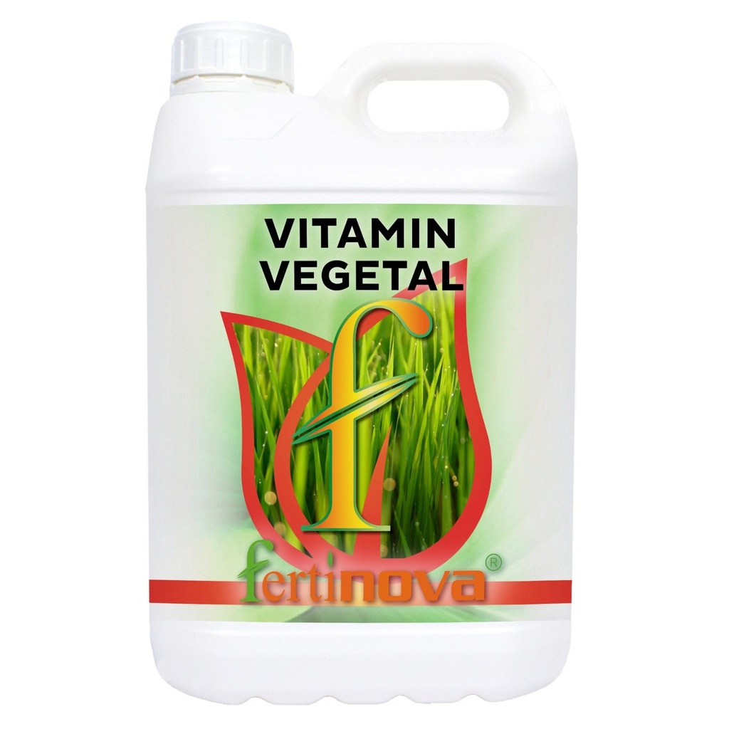 VEGETAL VITAMIN
