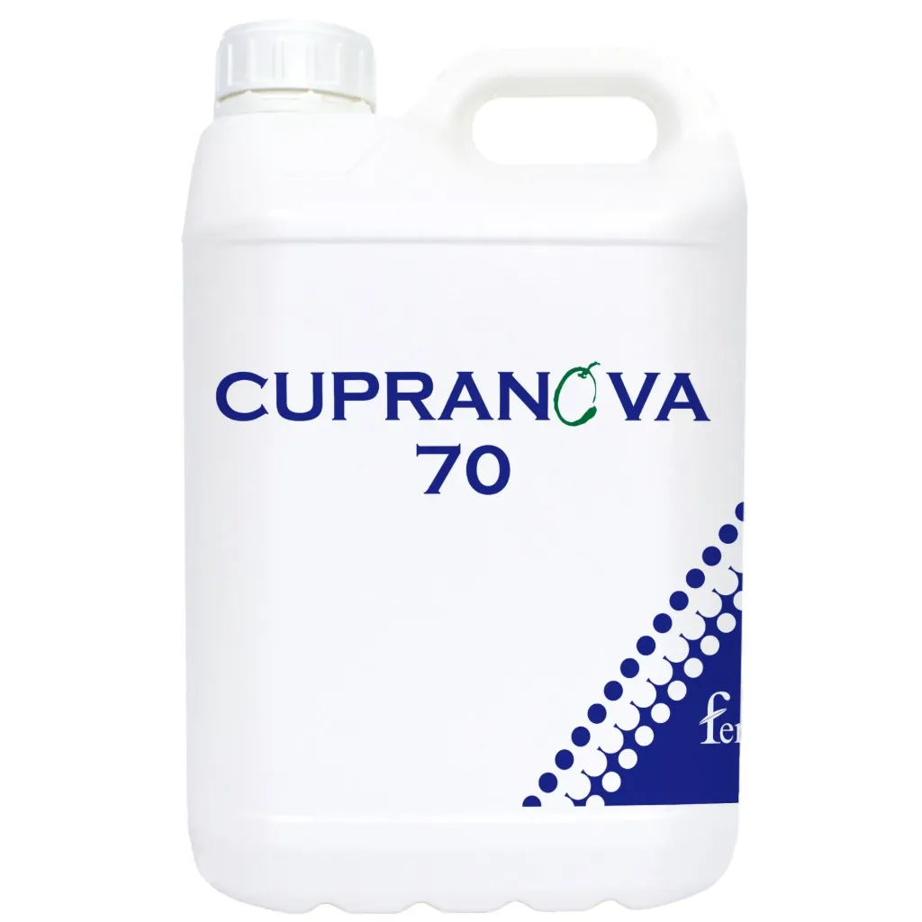 CUPRANOVA 70