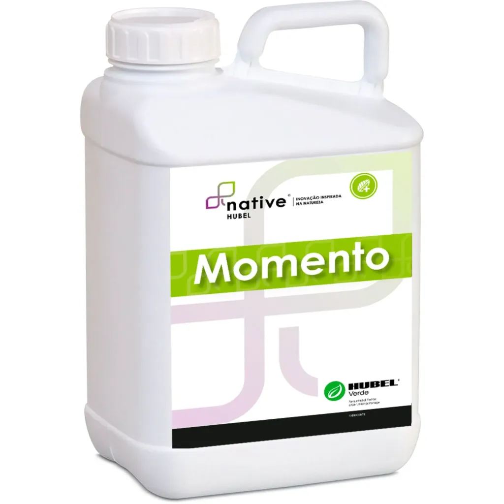 MOMENTO